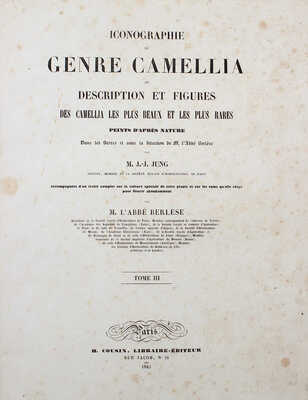 [Берлез Л. Иконография рода камелий или описание и изображения самых красивых и редких камелий...В 3 т.]